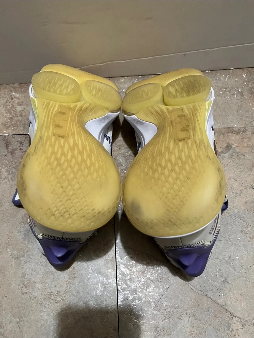 Nike LeBron  Basketball Sneakers with Purple Accents